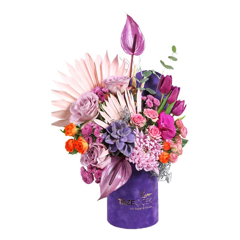 Purple Velvet Box