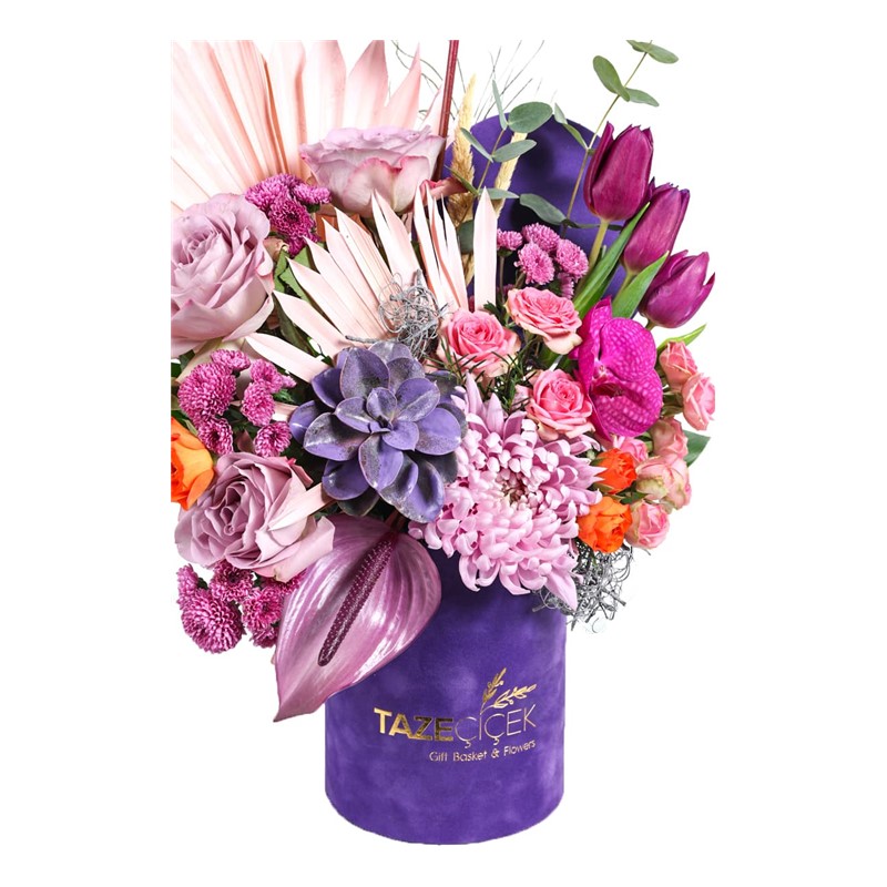 Purple Velvet Box