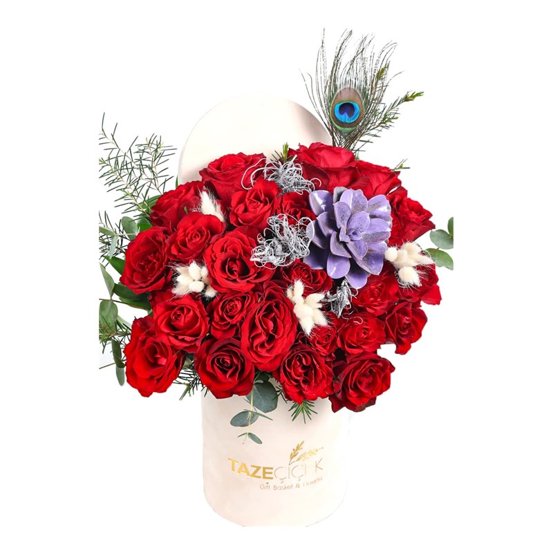 Cream Velvet Red