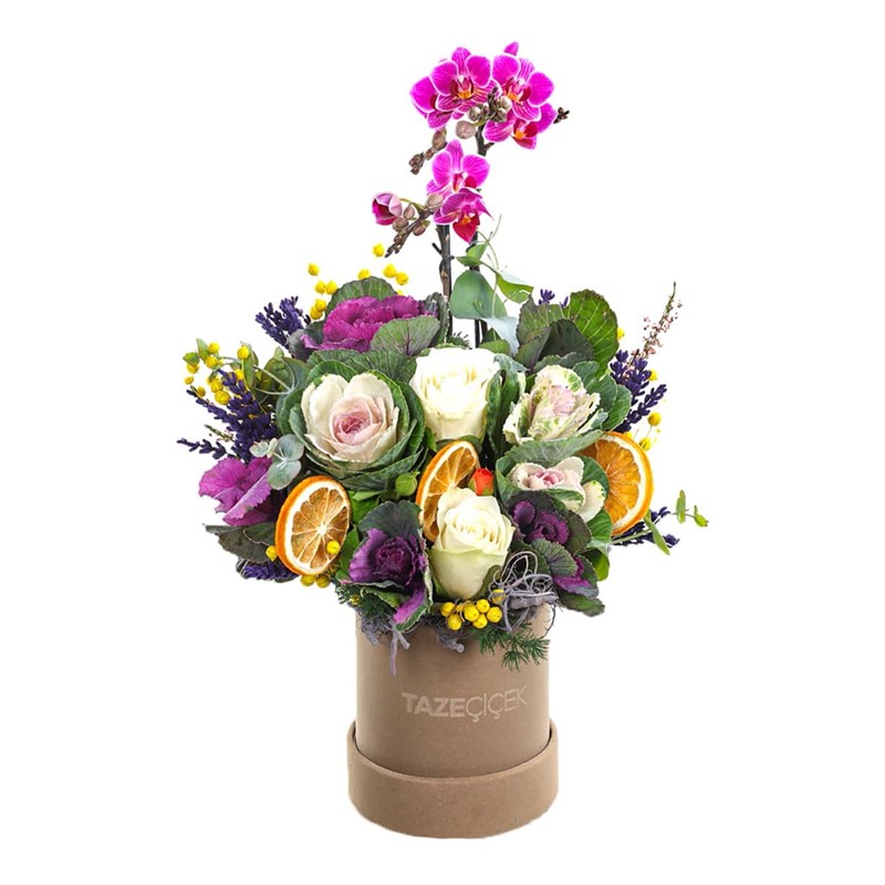 Blande Rose Orkide Aranjmanı