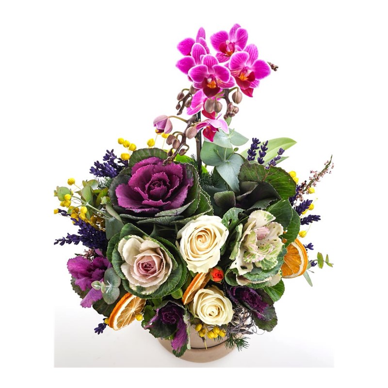 Blande Rose Orkide Aranjmanı