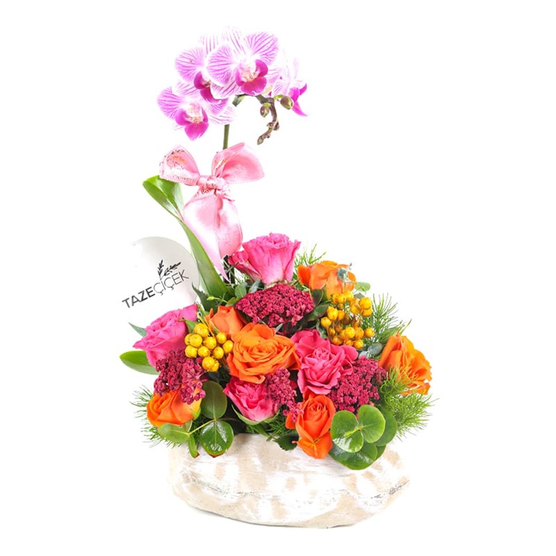 Colorful Garden
