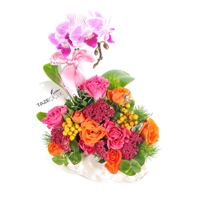 Colorful Garden