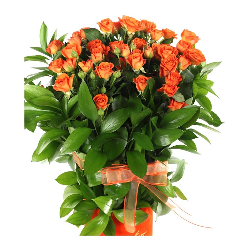 Alive Orange Flower