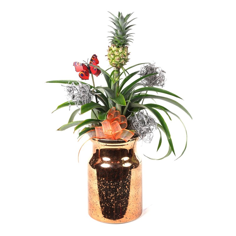 Luxury Pineapple