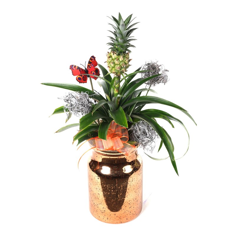 Luxury Pineapple