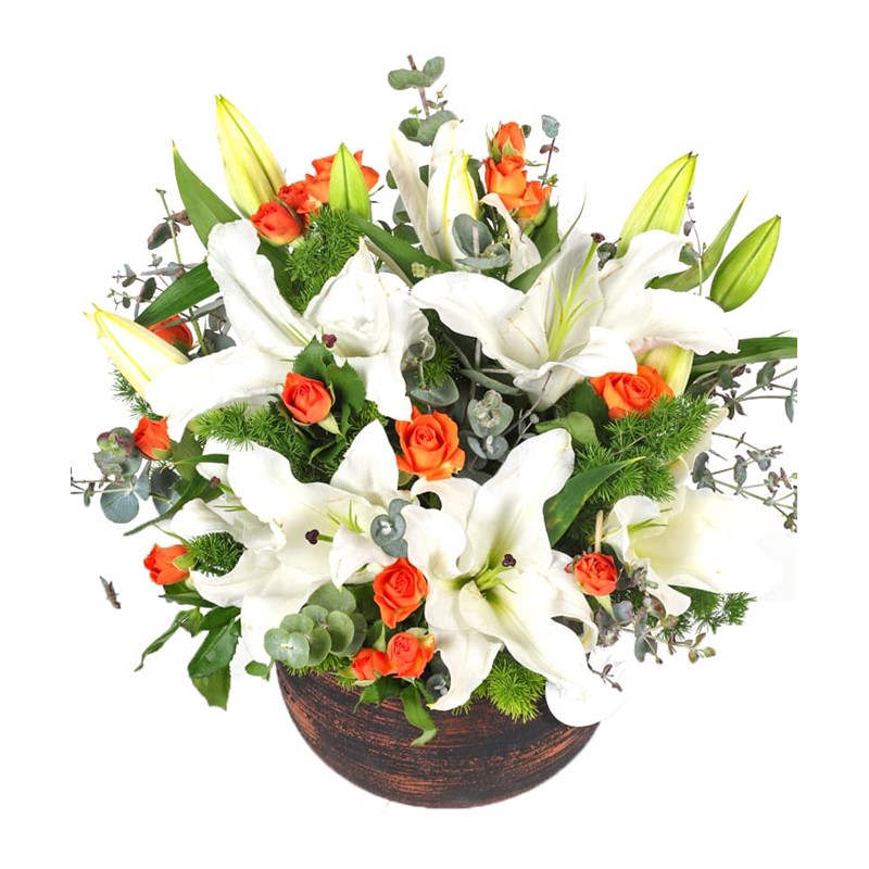 Orange Lily Melody
