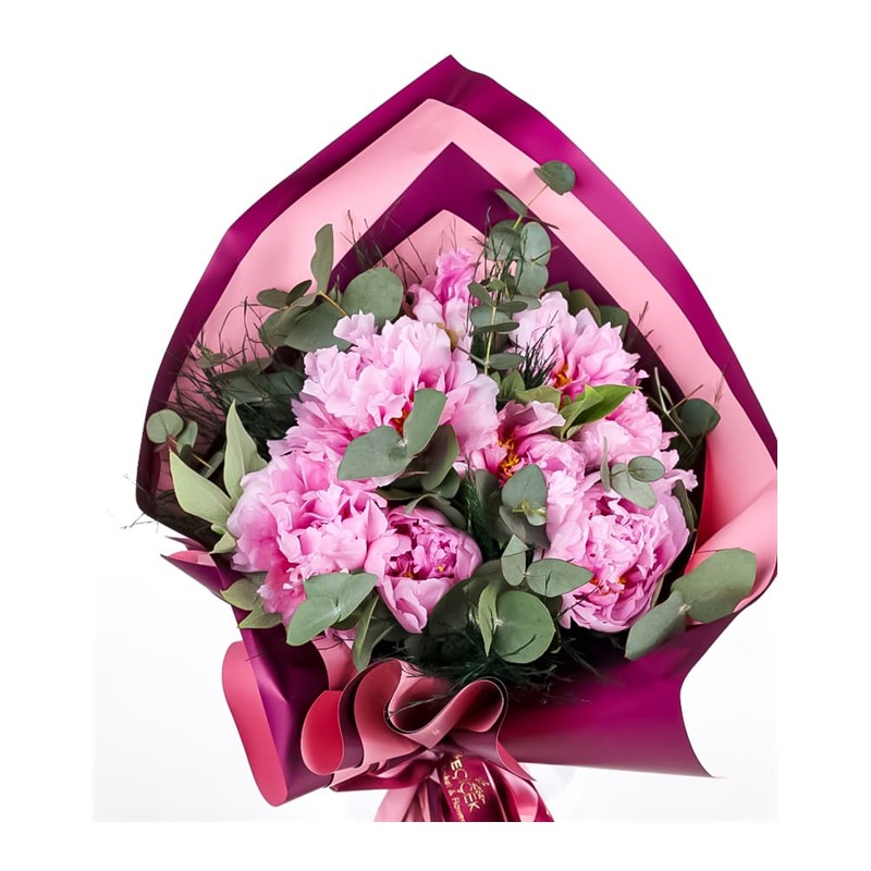 Pink Peony Dream