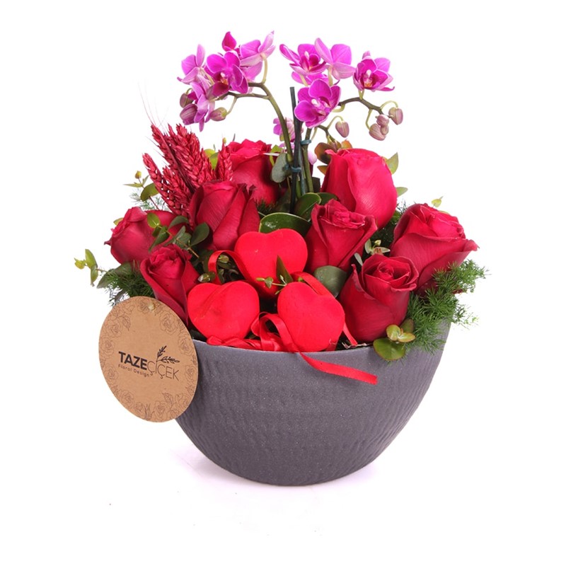 Malinki Rose & Orkide