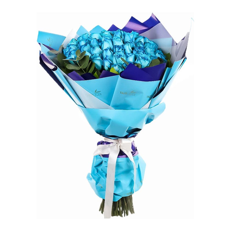 Magical Blue Dreams