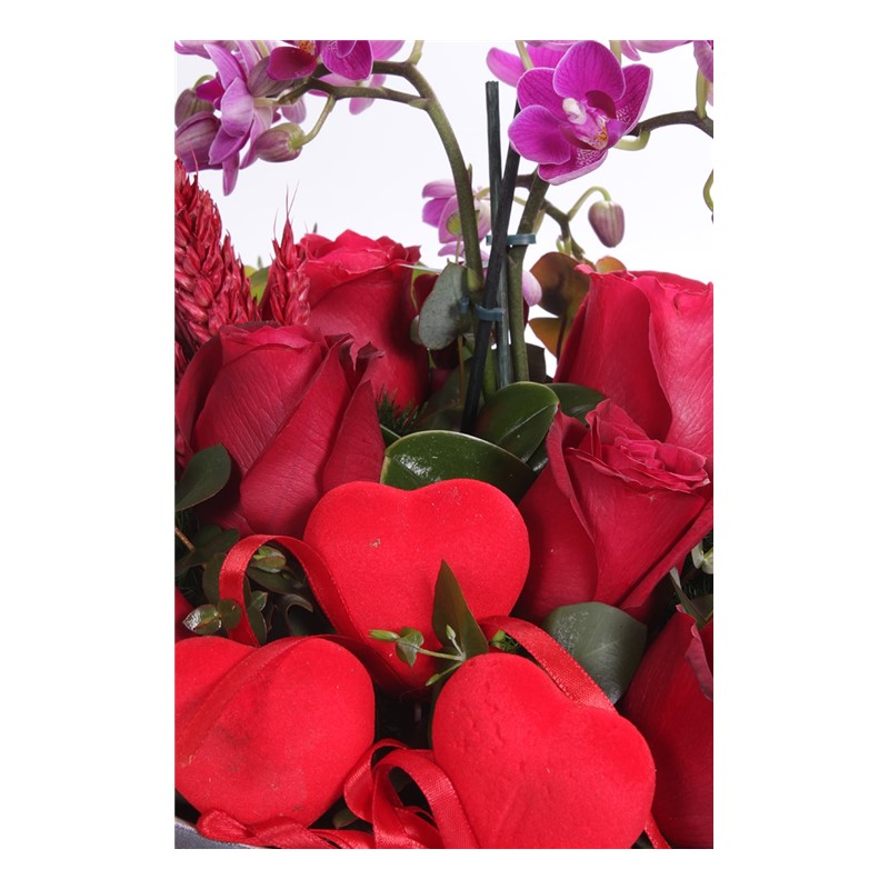 Malinki Rose & Orkide