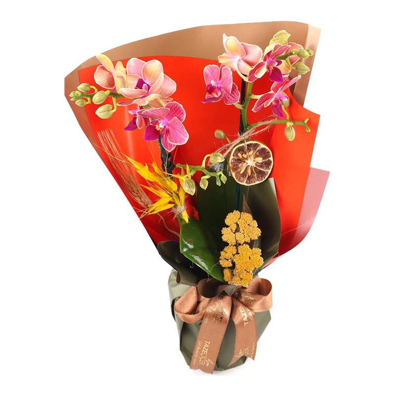 Warm & Full Of Love Mothers
