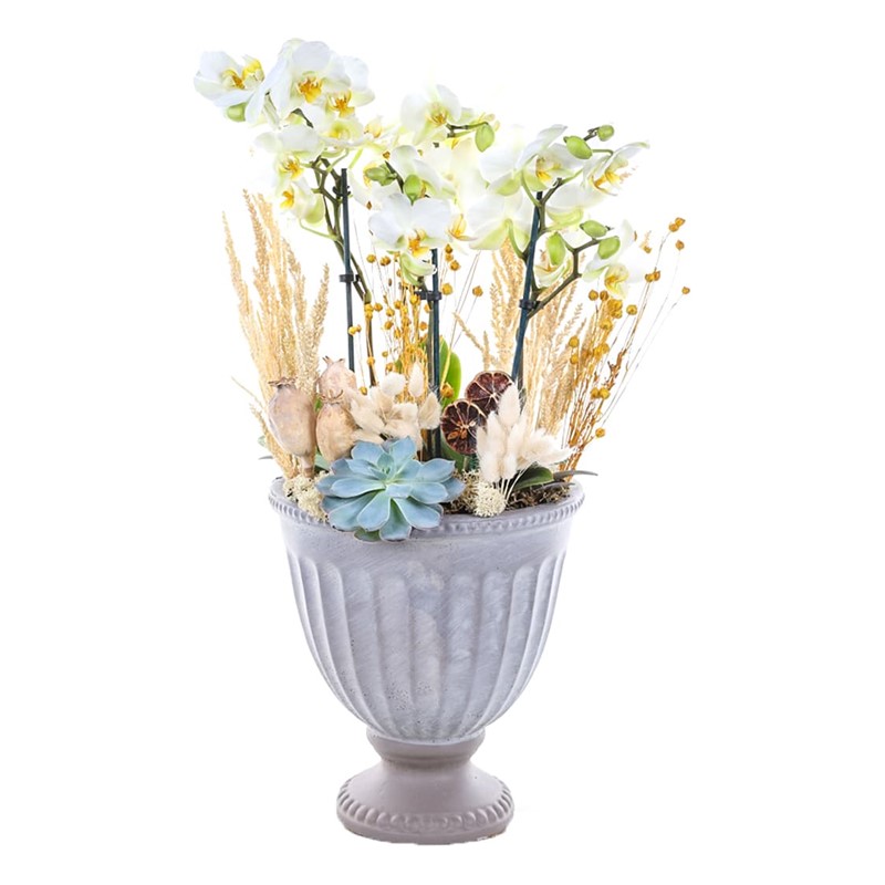 Cup Effect White