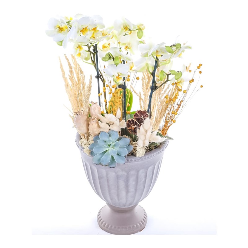Cup Effect White