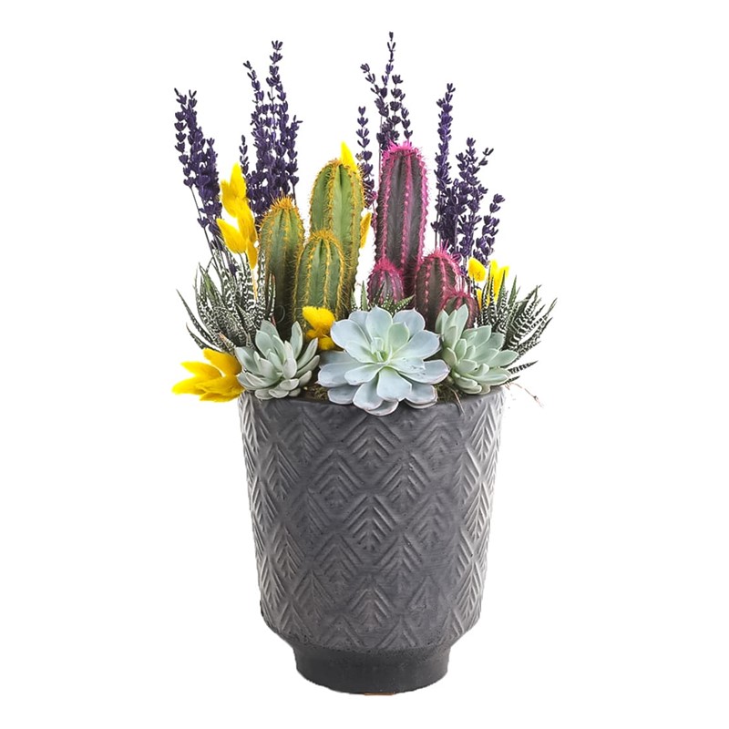 Yellow & Purple Garden