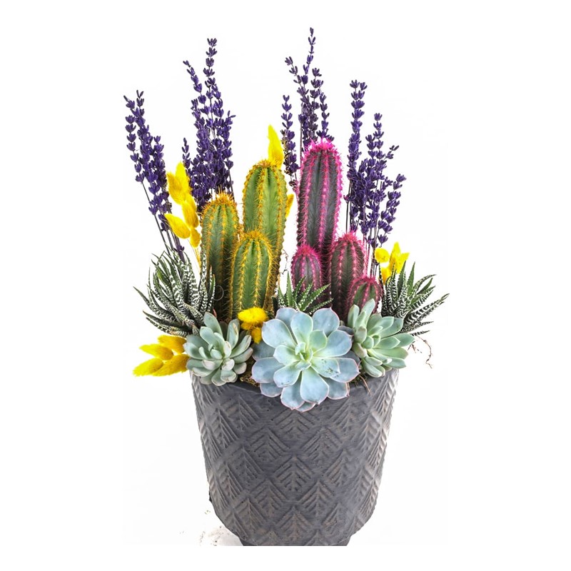 Yellow & Purple Garden