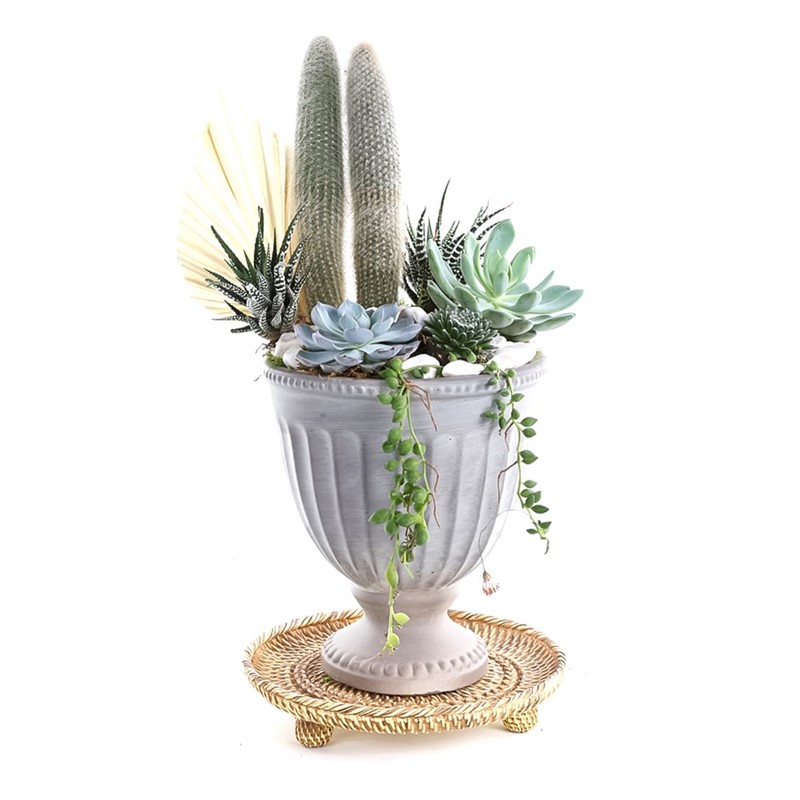 White Angel Garden