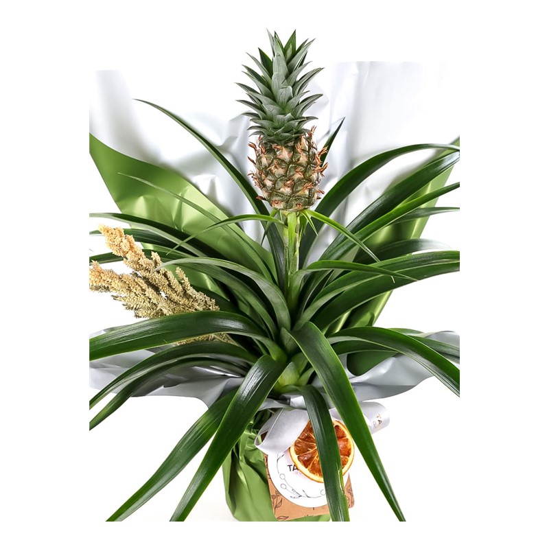 Exotic Pineapple Charm