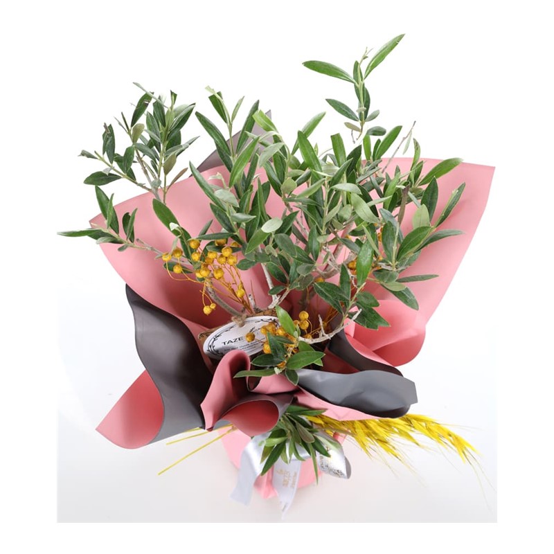 Altın Işık Zeytin Ağacı 40cm