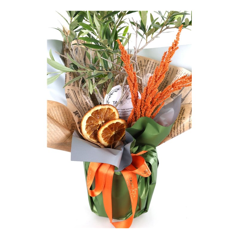 Doğa Mucizesi Zeytin Ağacı 40cm
