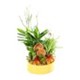 Vital Essence Green Haven