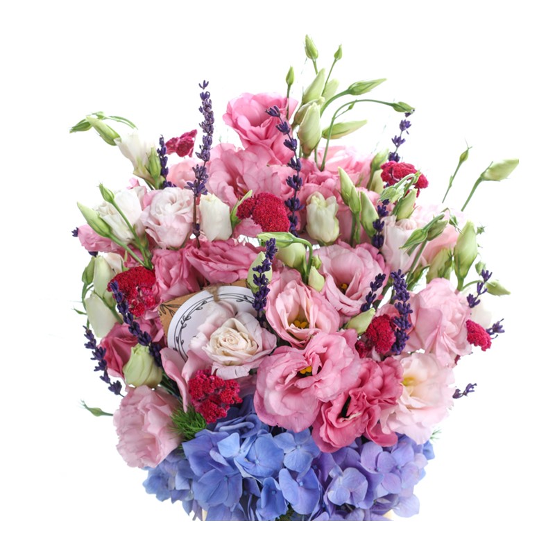 Natures Palette Lisyantus