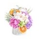 Fresh Seasons Ortanca