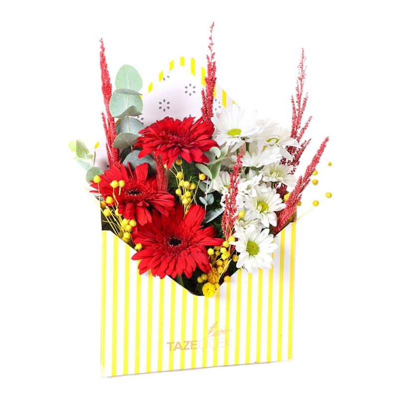 Rojo Blanco Kutuda Aranjman