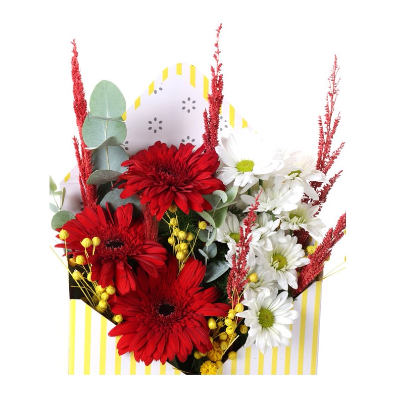 Rojo Blanco Kutuda Aranjman