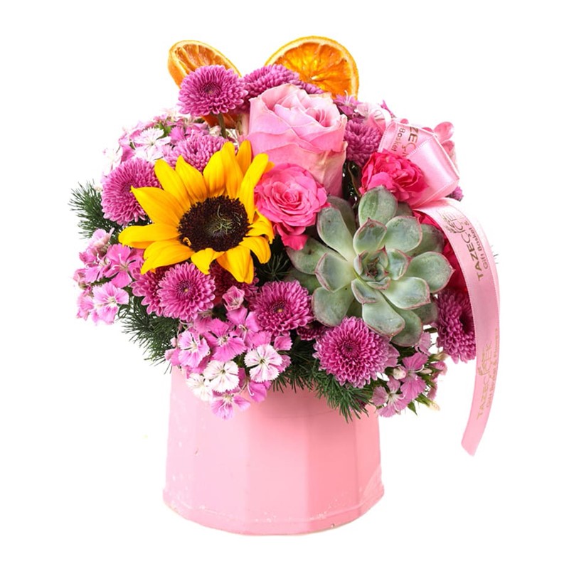 Girasol&Succulents Mix Aranjman