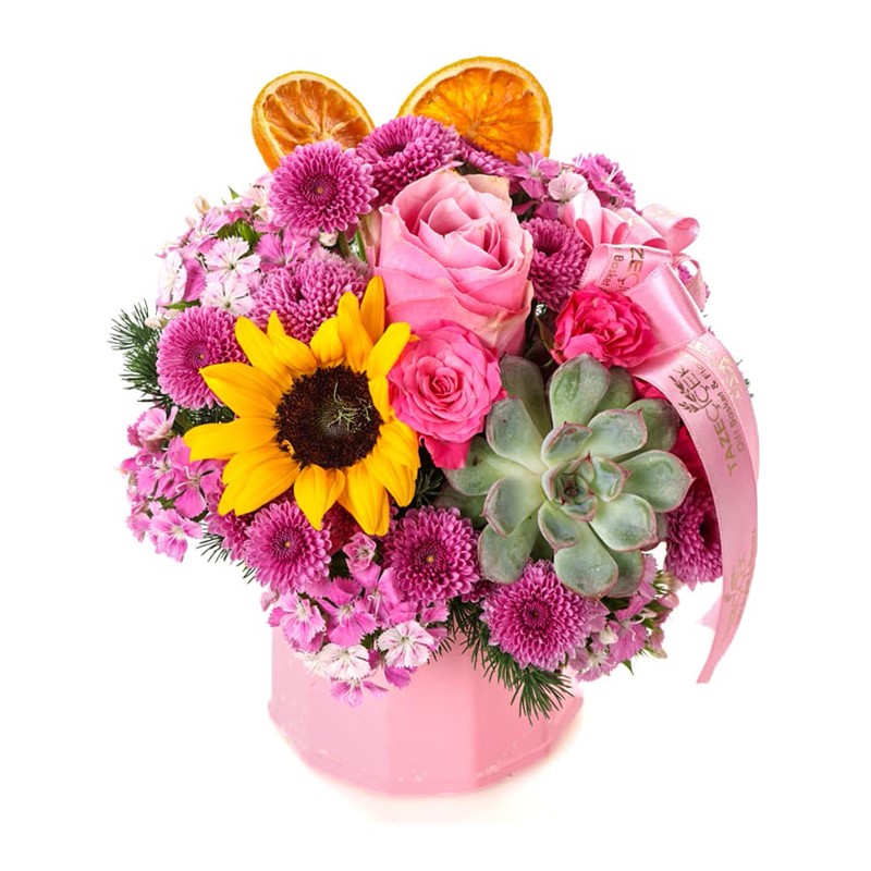 Girasol&Succulents Mix Aranjman