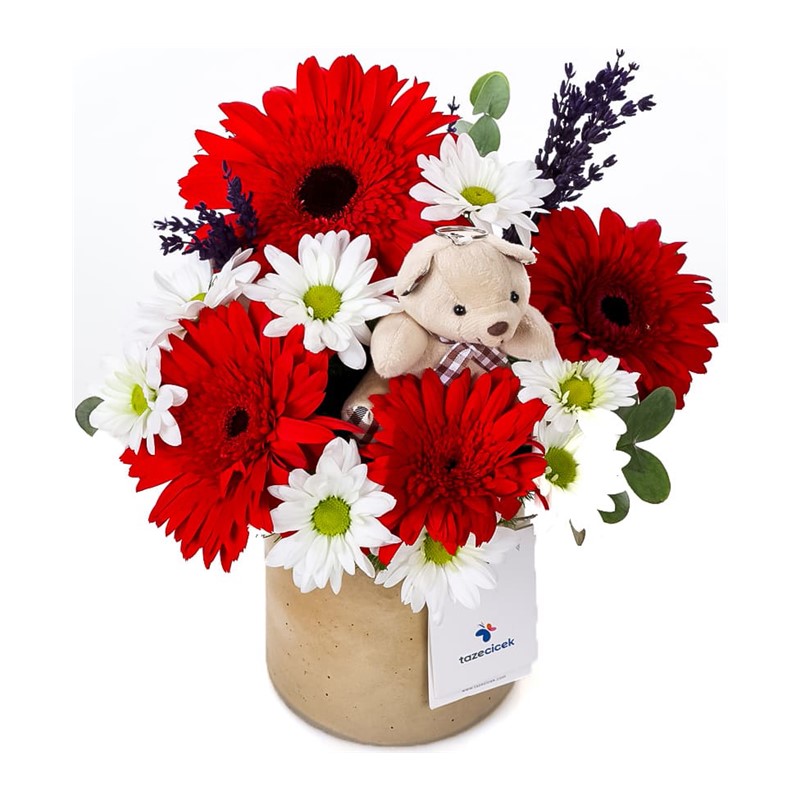 Chic Blooms Mix