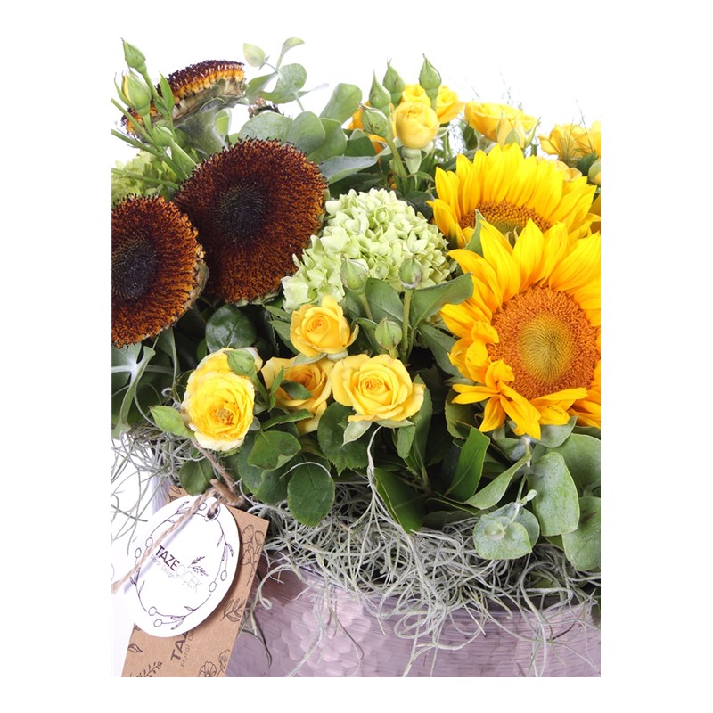 Cheerful Sunflowers