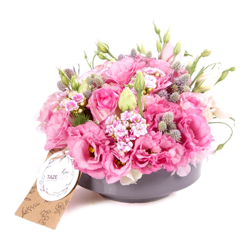 Like Pretty Pembe Lisyantuslar