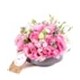 Like Pretty Pembe Lisyantuslar