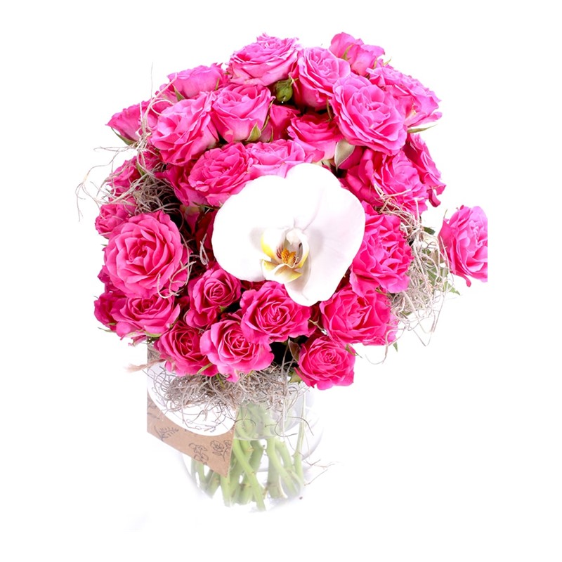 Pure Pink Roses & Orkide