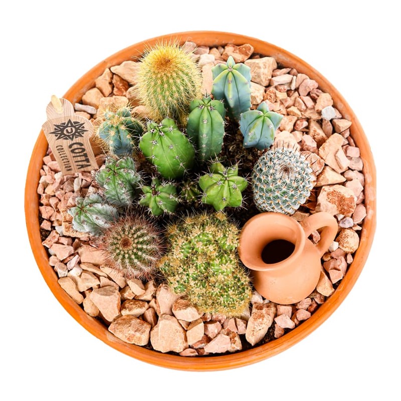 Boho Terracotta Kaktüs