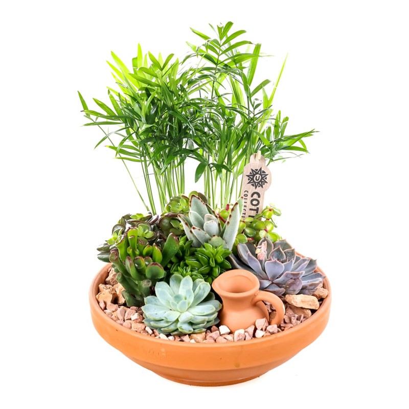 Boho Earthen Bloom Sukulent