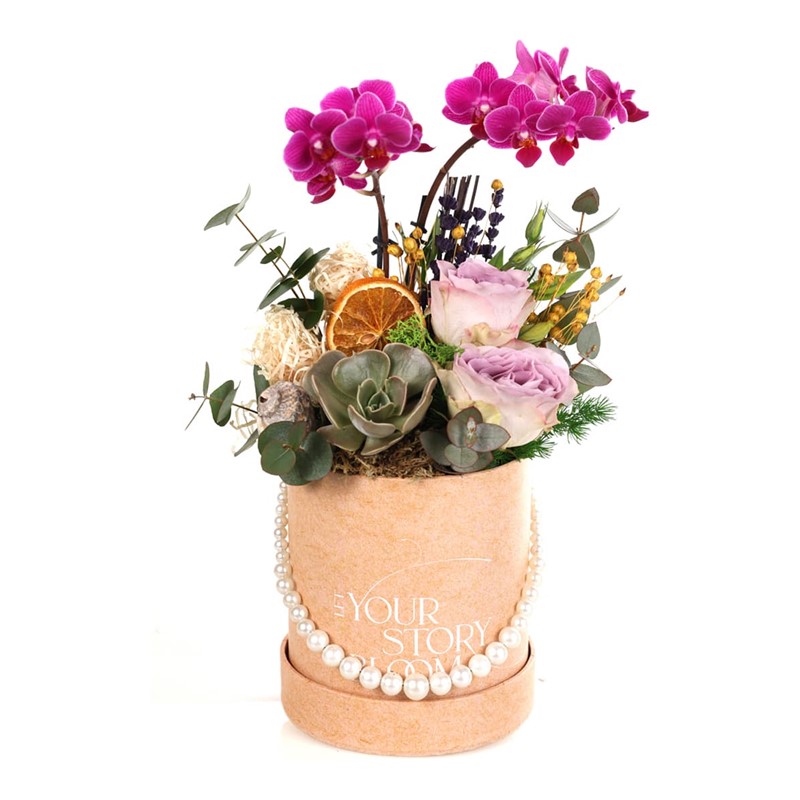Bloom&Botanica Orkide