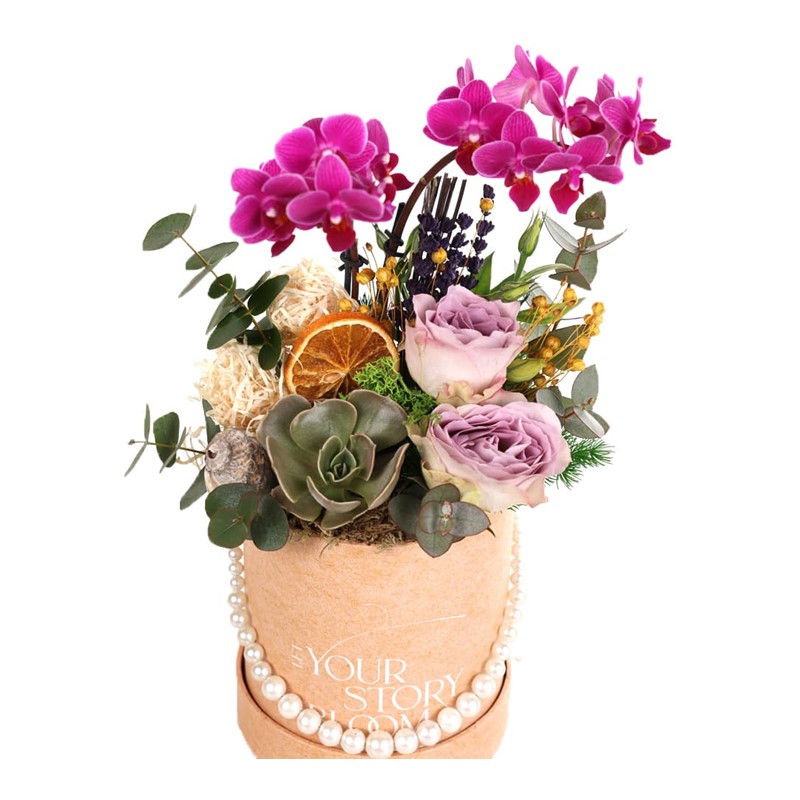 Bloom&Botanica Orkide