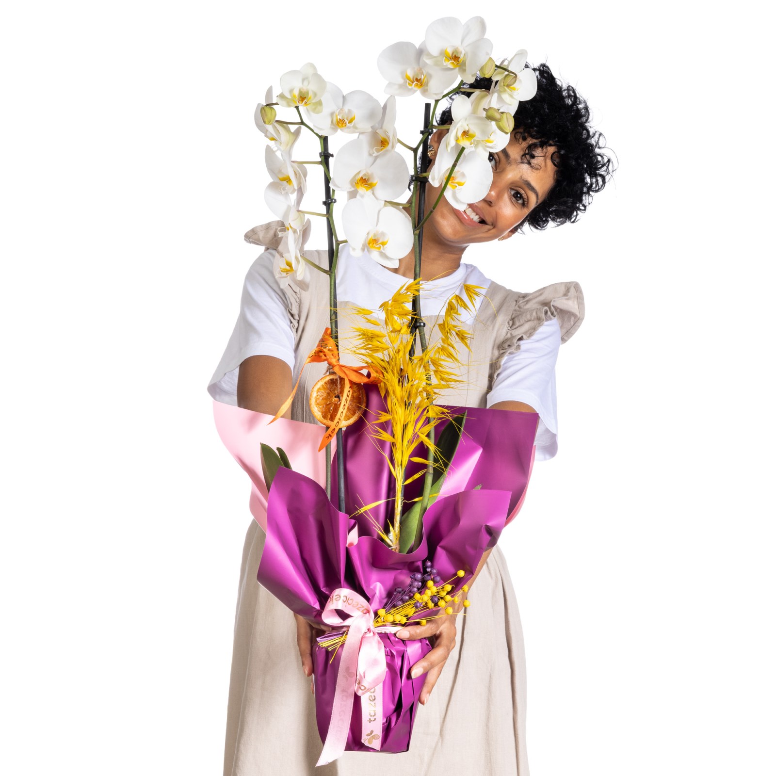 Moonlight Grace Orkide