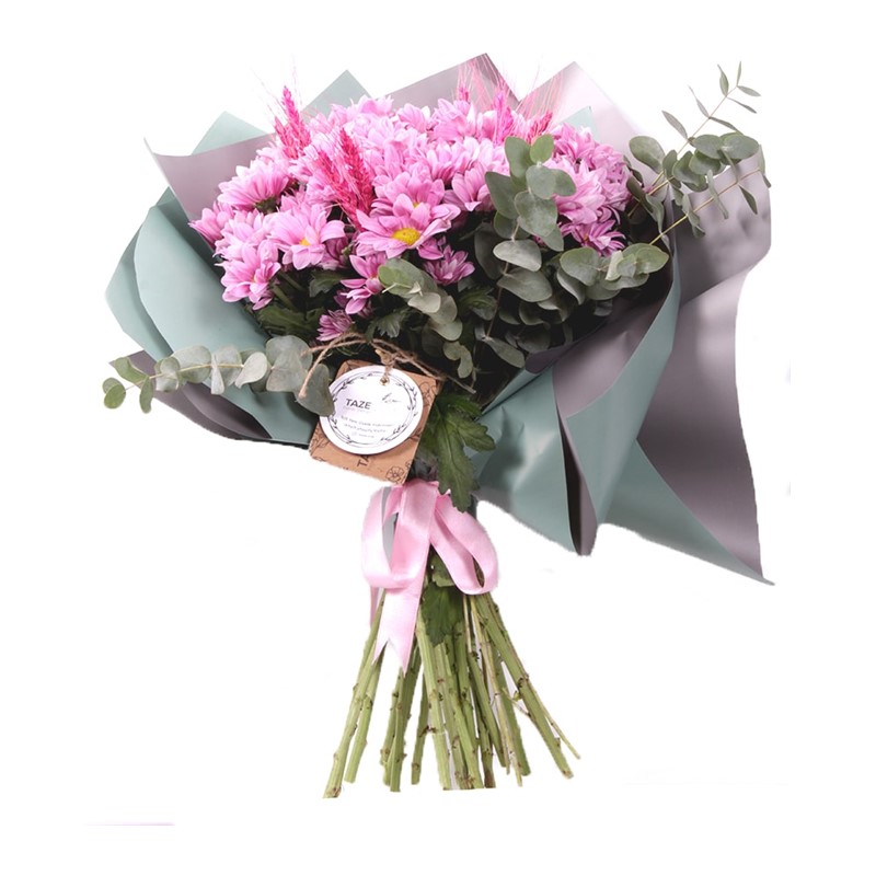 Pink Heaven Papatyalar