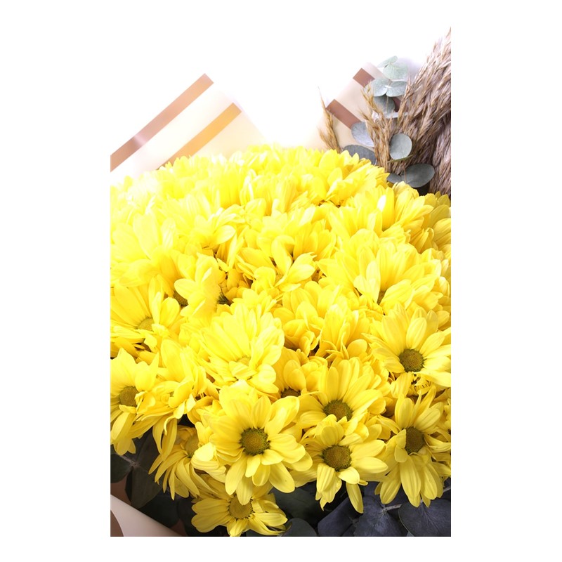 Yellow Fall Papatyalar