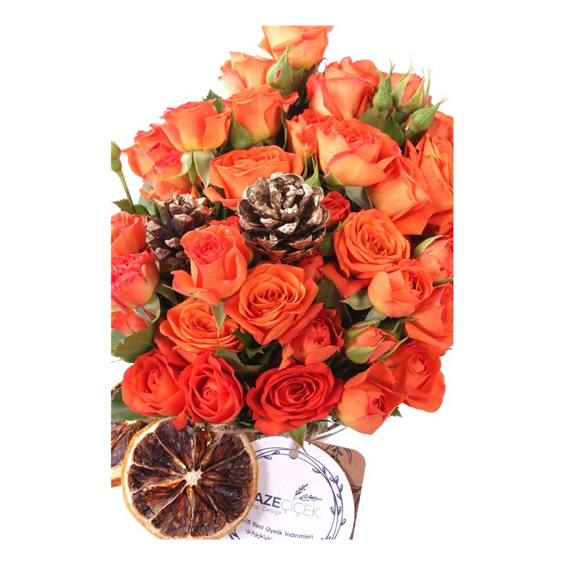 Festive Orange Love