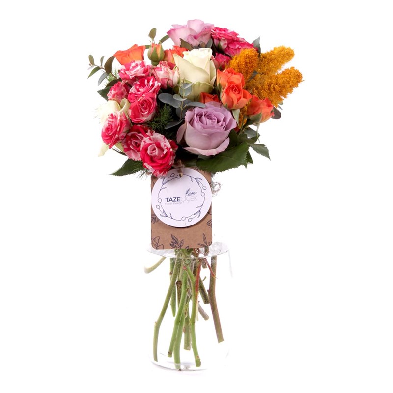 Colorful Sprey Roses