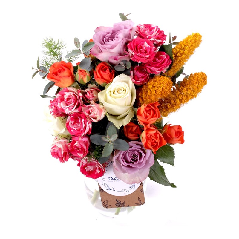 Colorful Sprey Roses