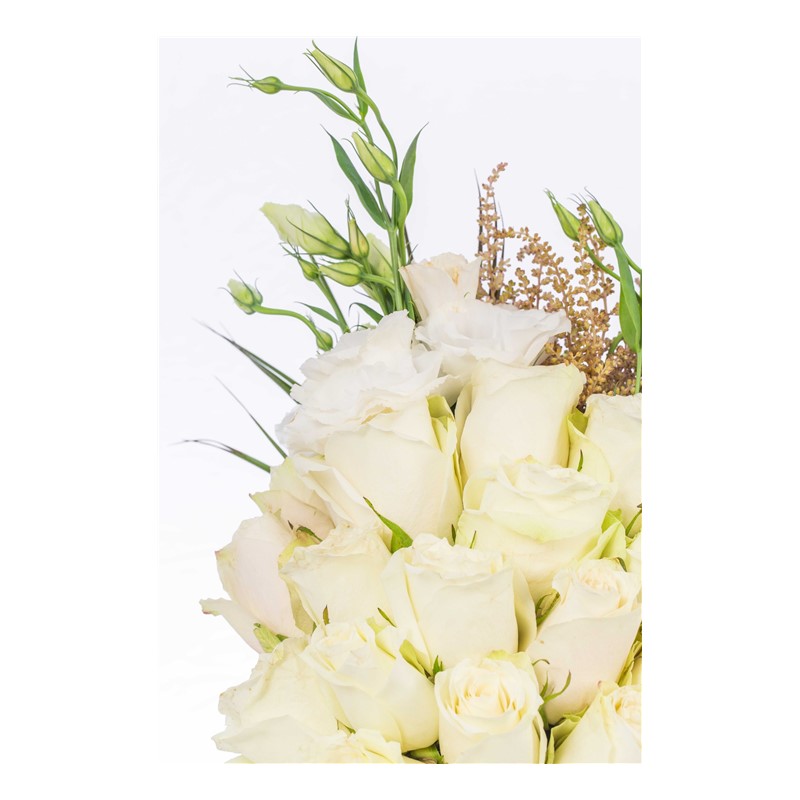 Fresh Whiteness Beyaz Güller