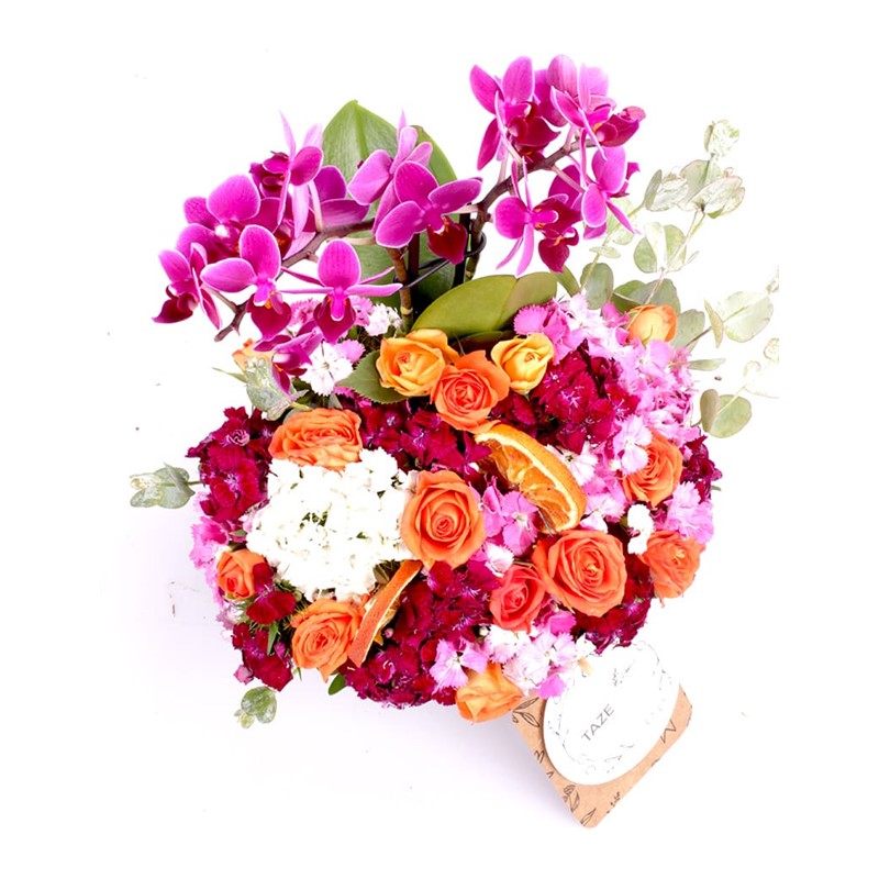 Floral Embrace Orkide