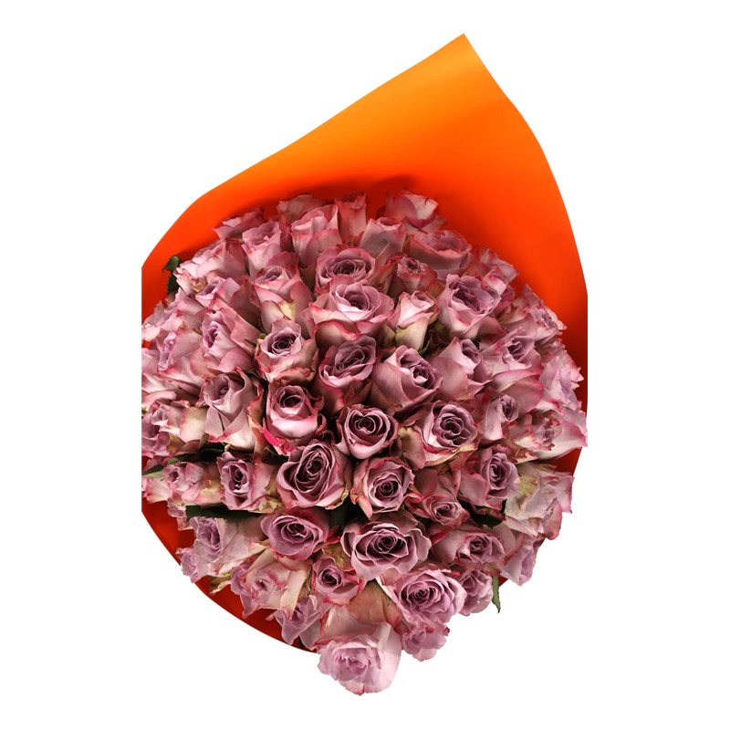 Big Bubble 71 Lila Gül Buketi