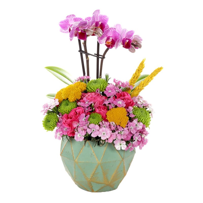 Deliciously Orchid